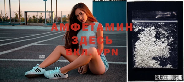 дмт Аркадак