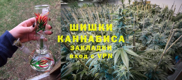 ГАЛЛЮЦИНОГЕННЫЕ ГРИБЫ Тавда