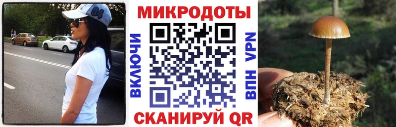 Псилоцибиновые грибы Psilocybe  Полевской 