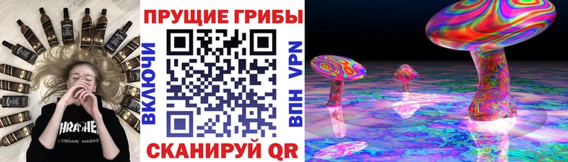 Псилоцибиновые грибы мухоморы Полевской